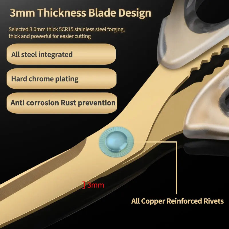Stainless Steel BBQ & Kitchen Shears – ELephas PLus